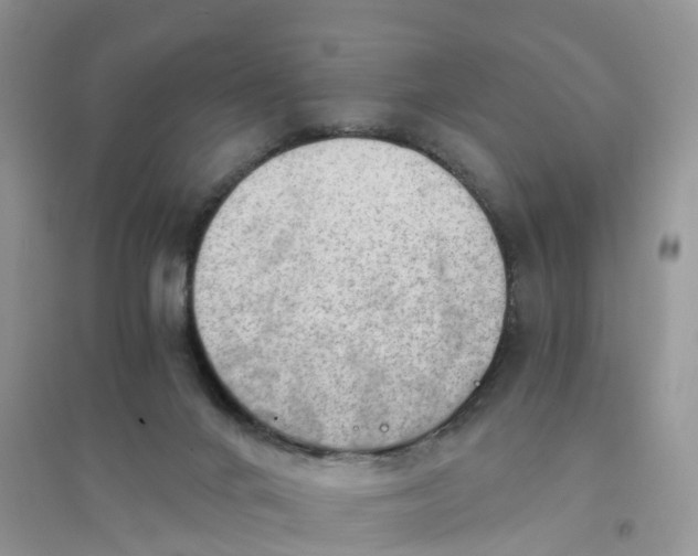 X0000096180024200802011353