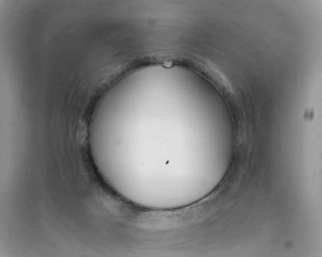 X0000096180025200802011353