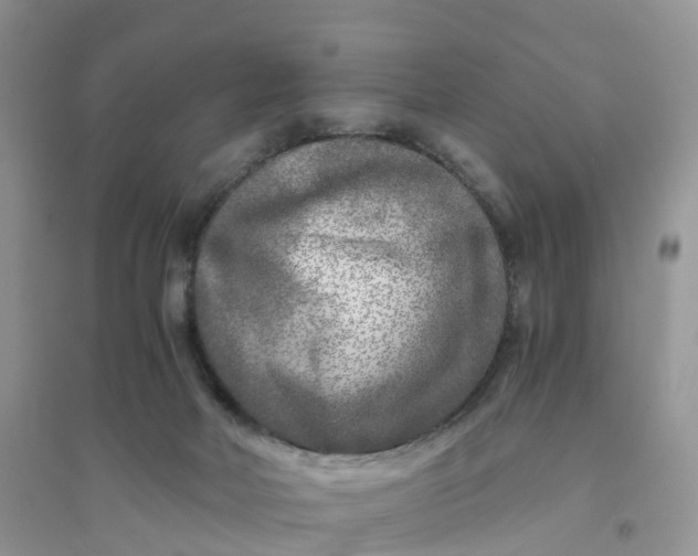 X0000096180026200802011353