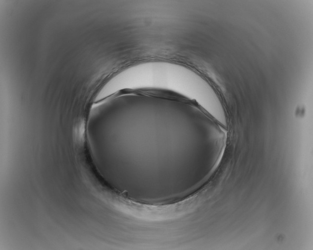 X0000096180027200802011353
