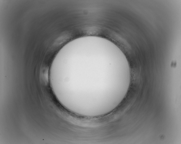 X0000096180028200802011353