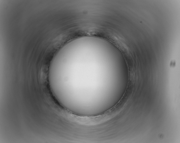 X0000096180030200802011353
