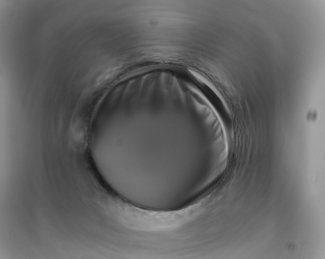 X0000096180031200802011353