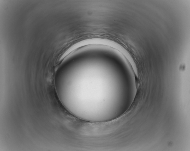 X0000096180033200802011353