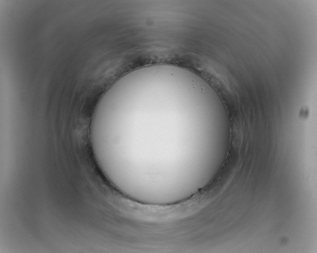 X0000096180034200802011353