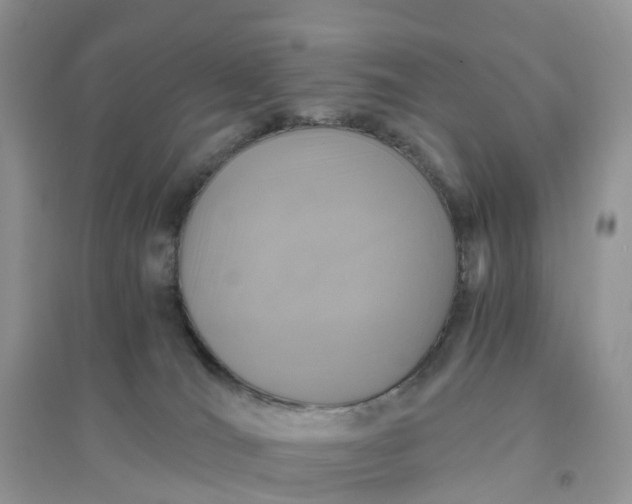 X0000096180036200802011353
