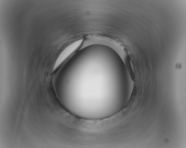 X0000096180037200802011353