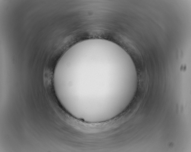 X0000096180038200802011353