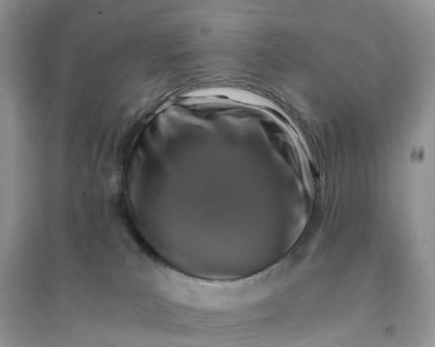 X0000096180039200802011353