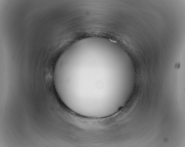 X0000096180040200802011353