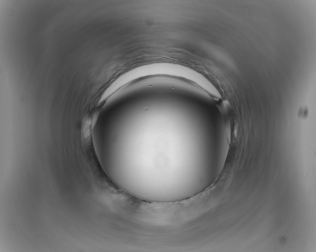X0000096180041200802011353
