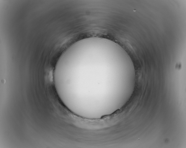 X0000096180042200802011353