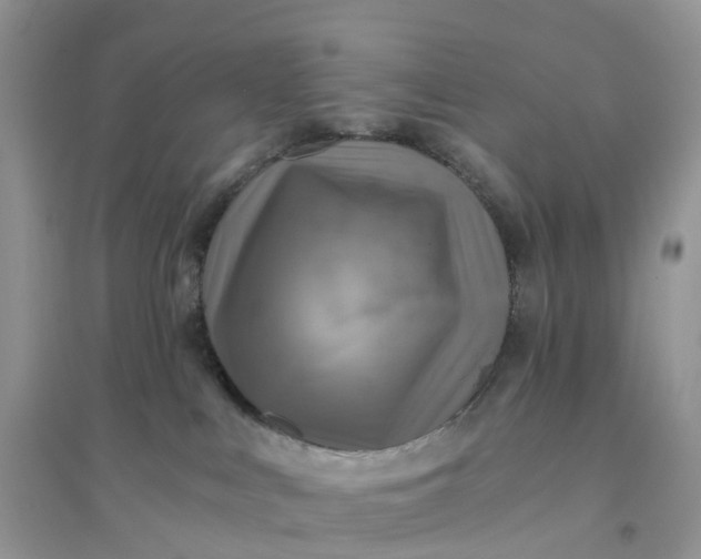 X0000096180043200802011353