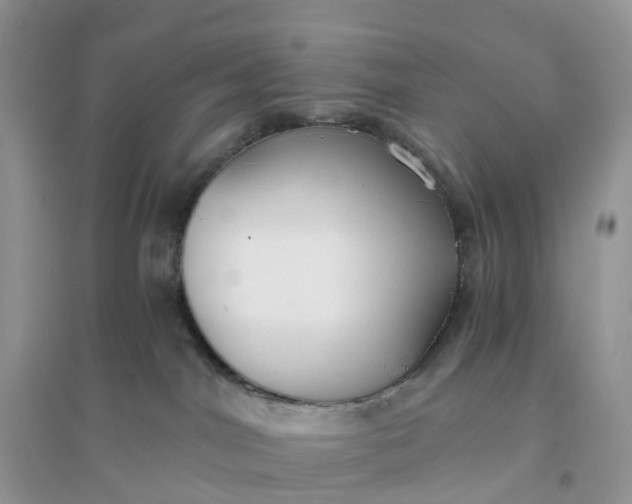X0000096180044200802011353