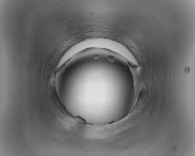 X0000096180045200802011353