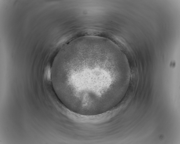 X0000096180046200802011353
