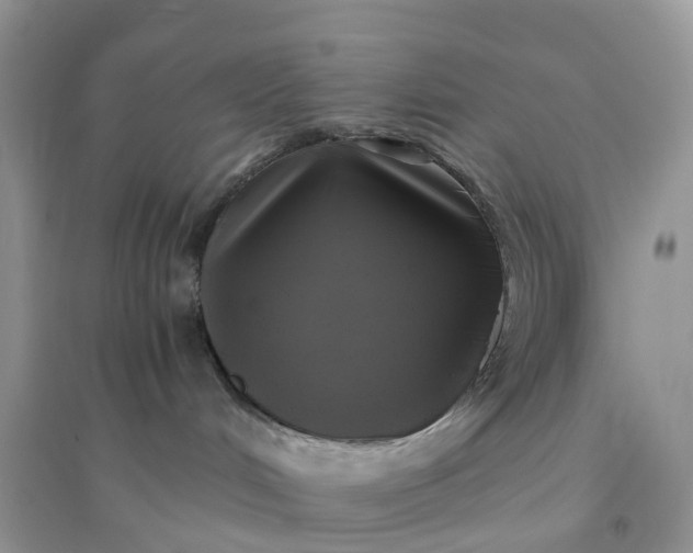 X0000096180048200802011353