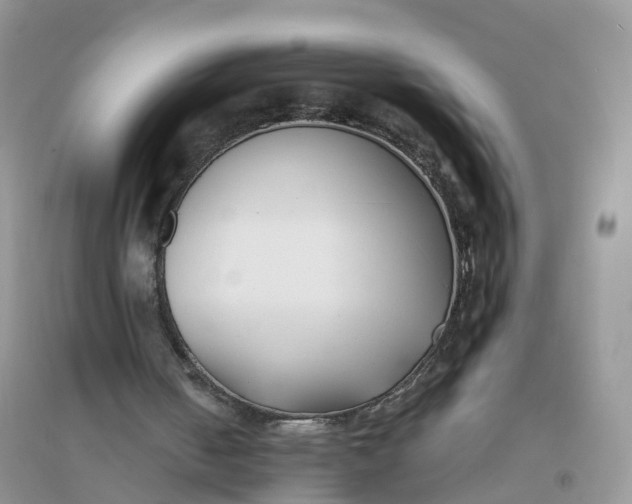 X0000096180050200802011352