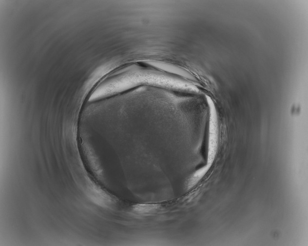 X0000096180051200802011352