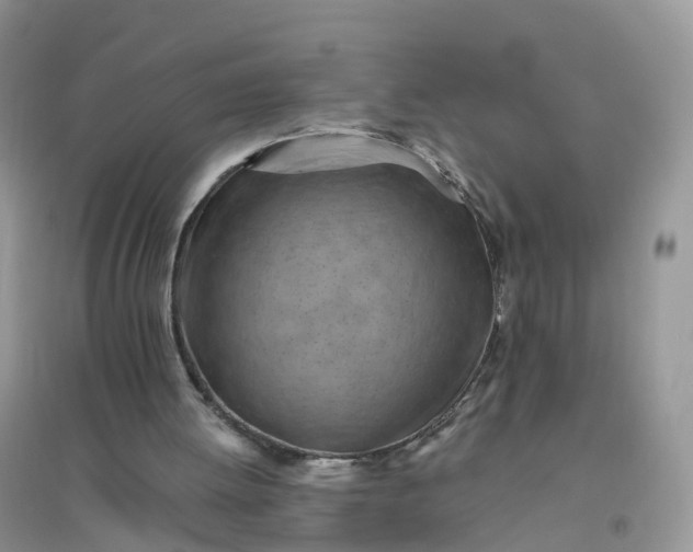 X0000096180052200802011352