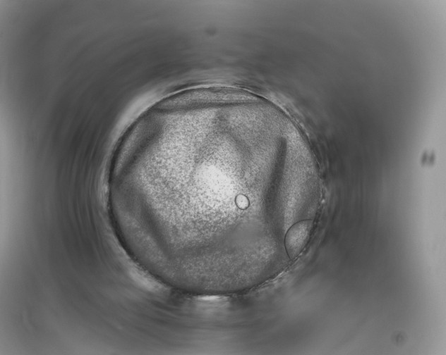 X0000096180053200802011352