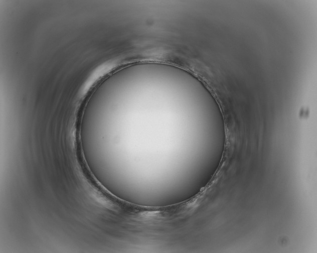 X0000096180054200802011352