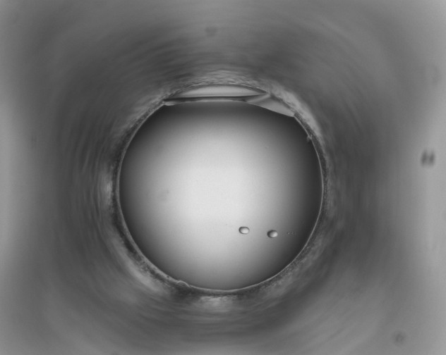 X0000096180057200802011353