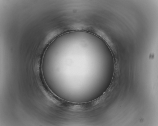 X0000096180058200802011353