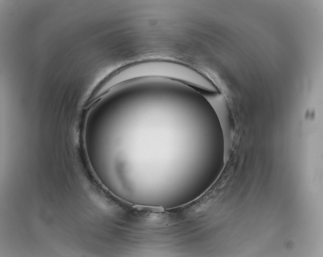 X0000096180060200802011353