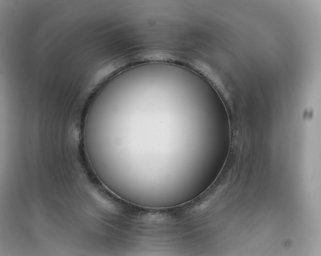 X0000096180063200802011353