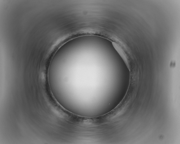 X0000096180064200802011353