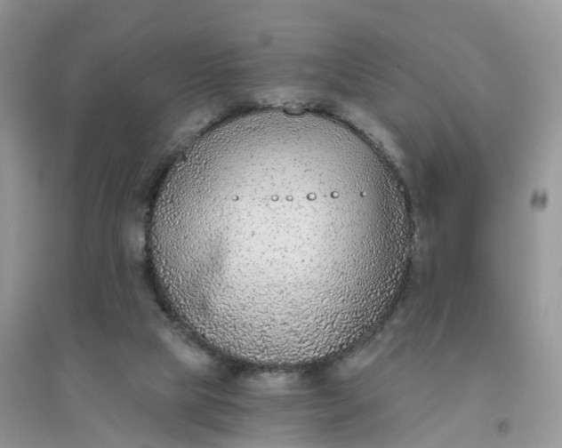 X0000096180065200802011353
