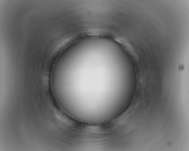 X0000096180066200802011353