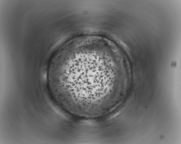 X0000096180067200802011353