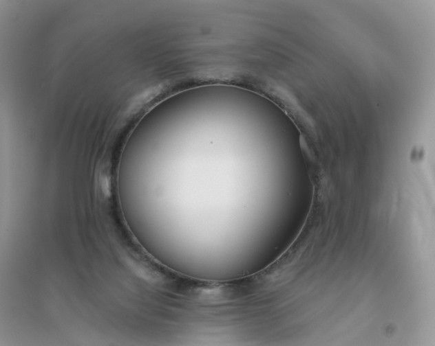 X0000096180068200802011353