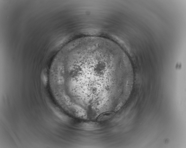 X0000096180069200802011353