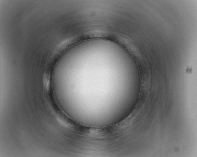 X0000096180070200802011353