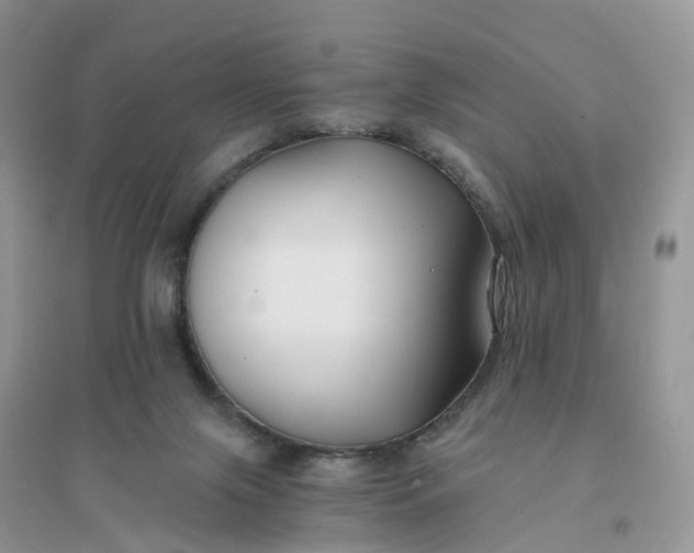 X0000096180071200802011353