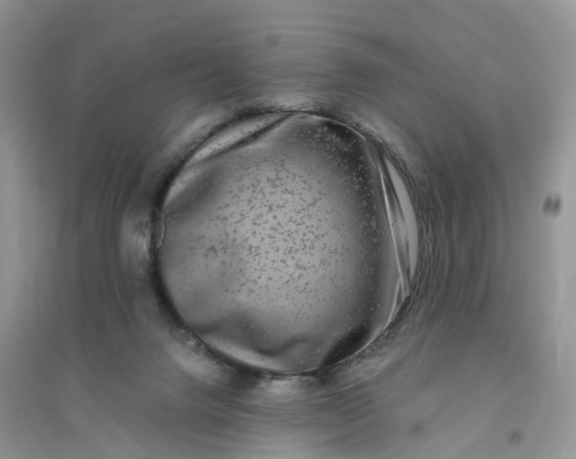 X0000096180072200802011353
