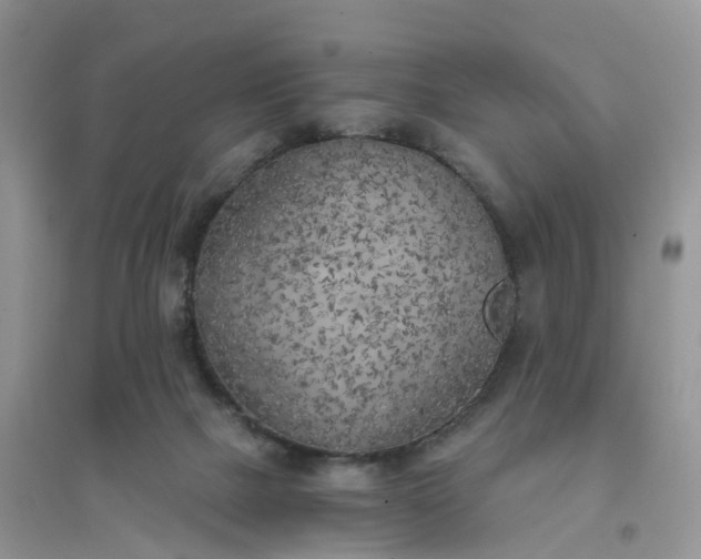 X0000096180073200802011353