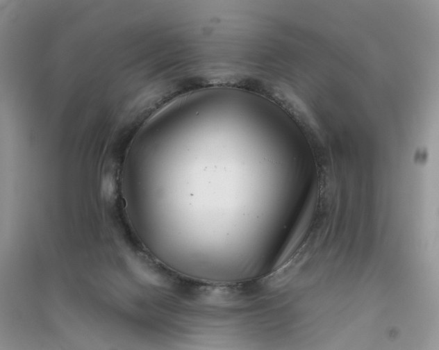 X0000096180074200802011353
