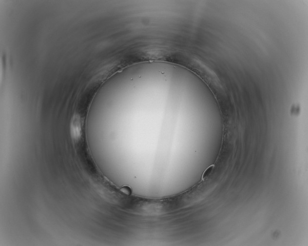 X0000096180075200802011353