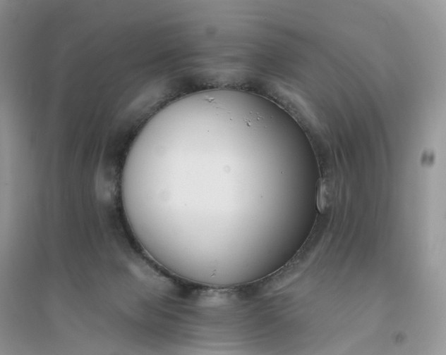 X0000096180077200802011353