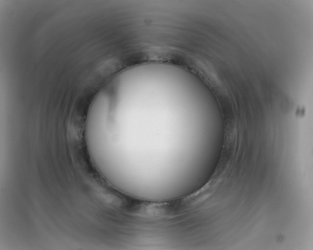 X0000096180078200802011353