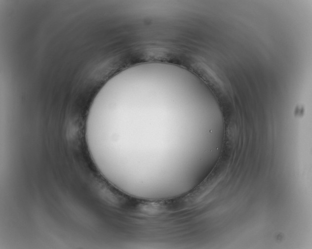 X0000096180079200802011353
