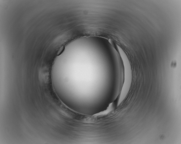 X0000096180080200802011353