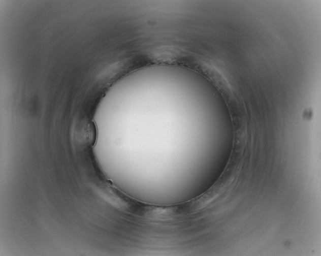 X0000096180081200802011353