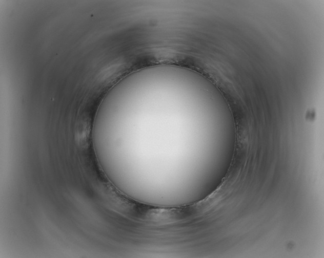 X0000096180082200802011353