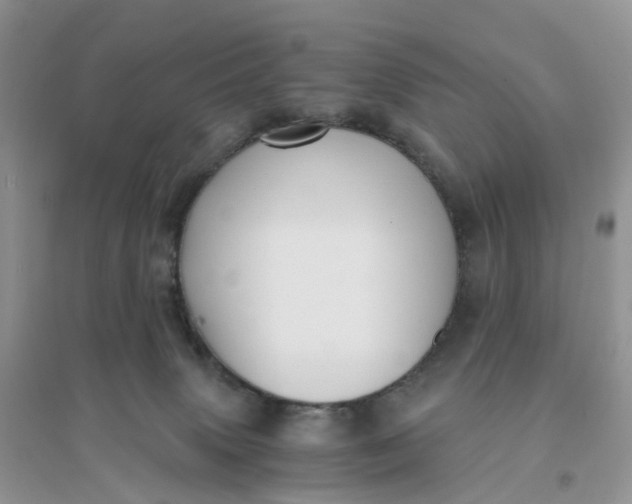X0000096180083200802011353