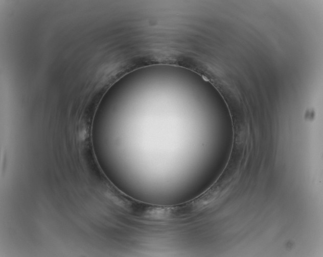 X0000096180084200802011353